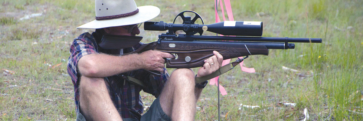 Air-Rifle-Field-Target-header11.jpg#asset:146